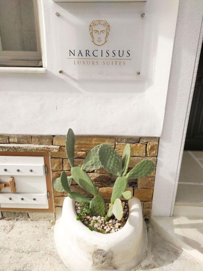 Narcissus Luxury Suites Naxos City Ngoại thất bức ảnh
