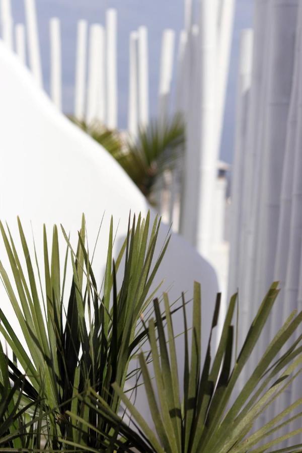 Narcissus Luxury Suites Naxos City Ngoại thất bức ảnh